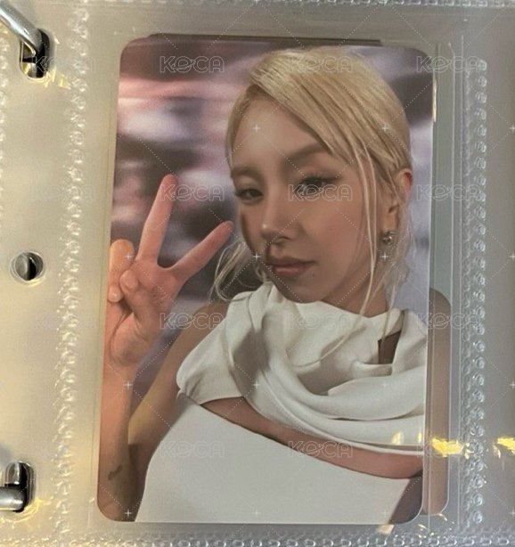 彩迷12專卡