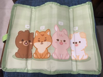 DAY6 墊子 含四格卡 The Decade