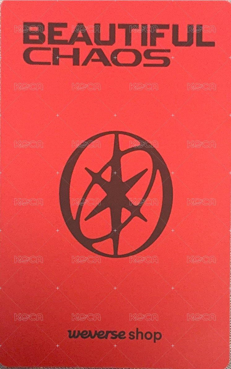 迷二 wvs 簽售卡  背面