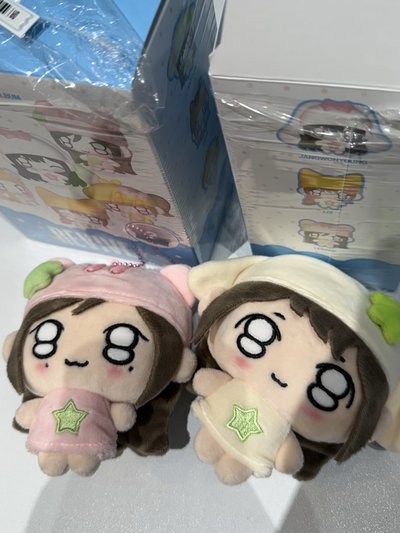 安娃專和瑞娃專ᯓ★. ₊