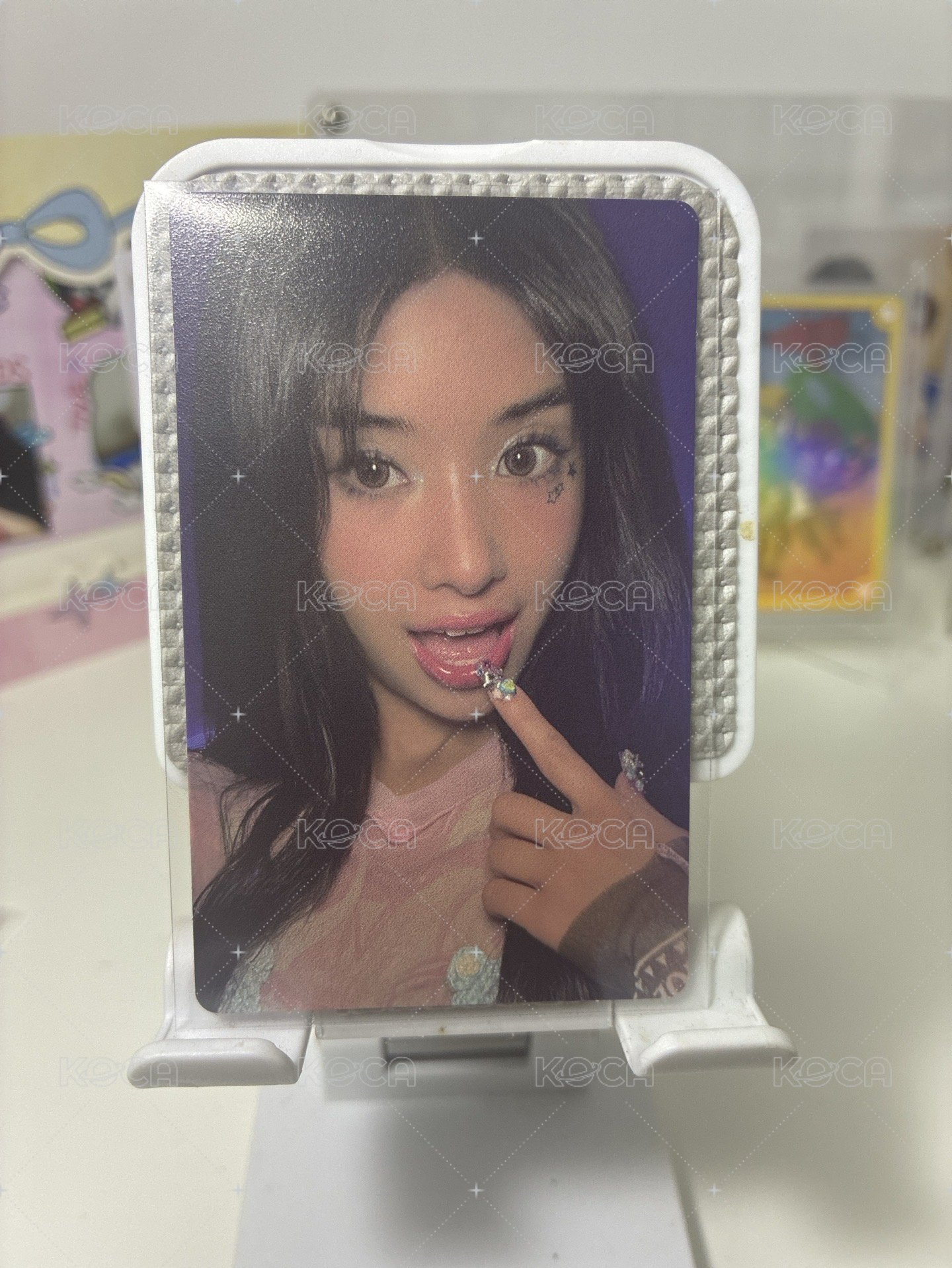 Sophia 菲wvs簽售特典