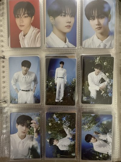 禎元 WTL FINAL 隨機卡 