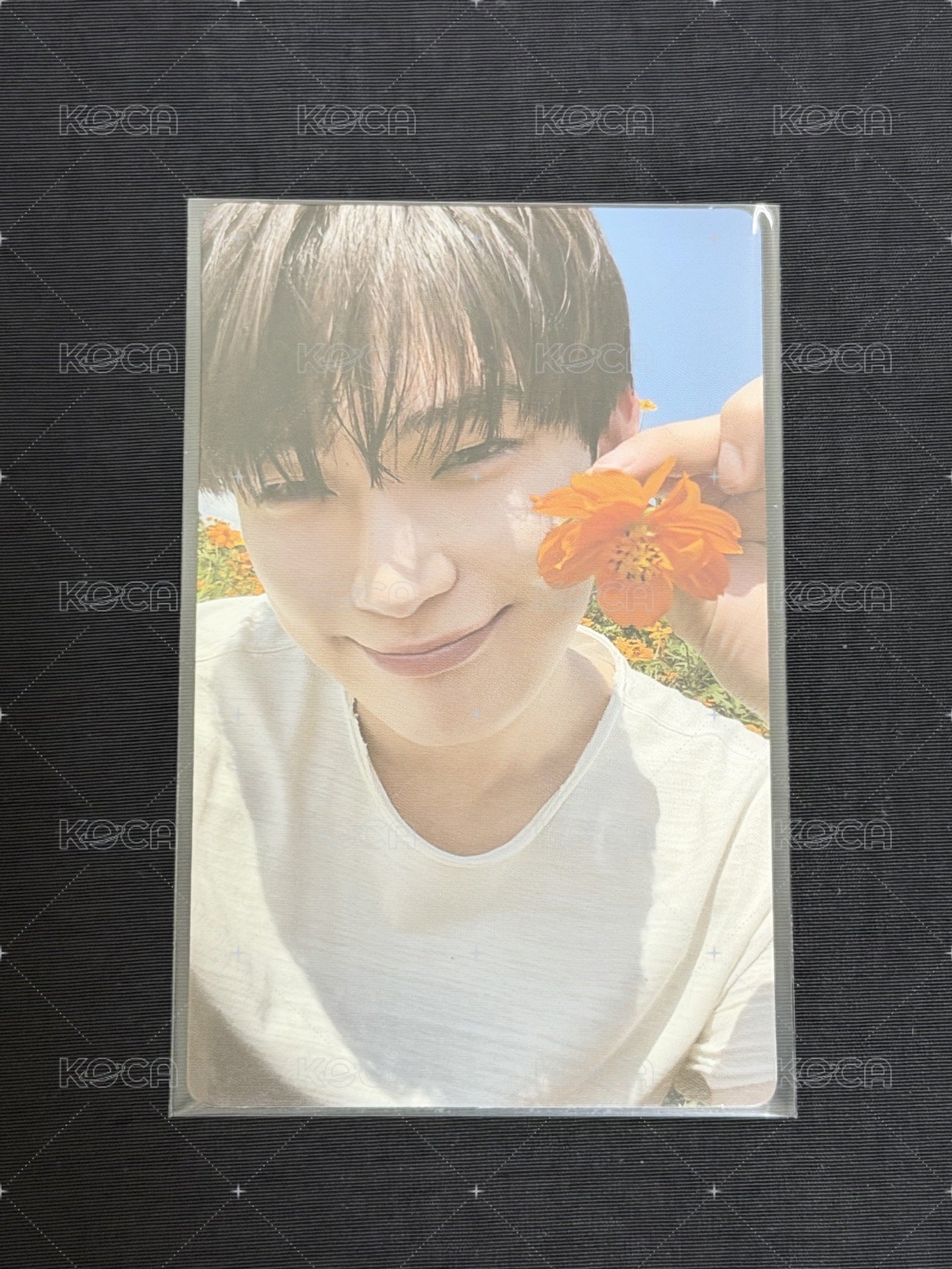 善禹🌼