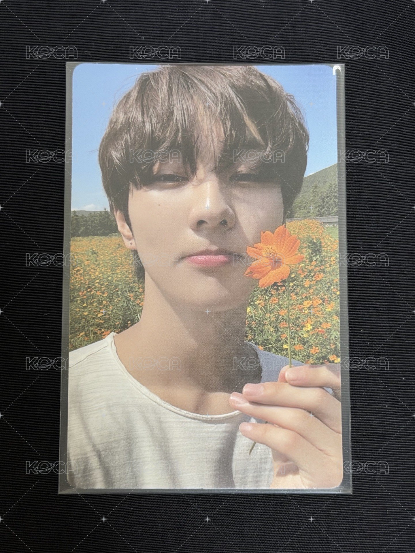禎元🌼