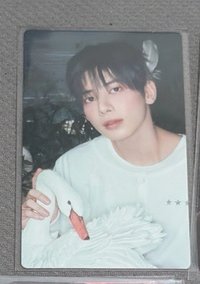 日專初回A 天鵝顯