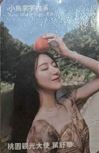 桃園觀光大使 代言卡 