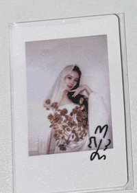 婚紗面姐拍立得