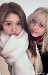 正規一 am 6.0 簽售卡 年糕大衣 cp卡 莉薛