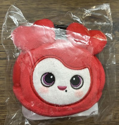 耳機包-彩瑛❤️