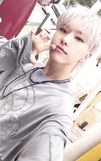 MINI12 專輯卡 wvs電子專