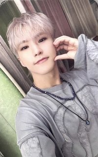 MINI12 專輯卡 wvs電子專