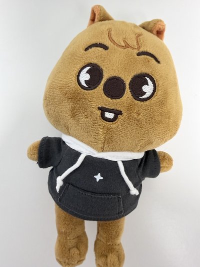 韓知城 四期飯咪 大娃