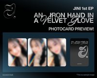 An iron hand in a velvet glove ms 預售