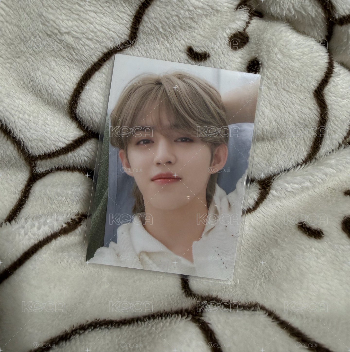 SEVENTEEN 