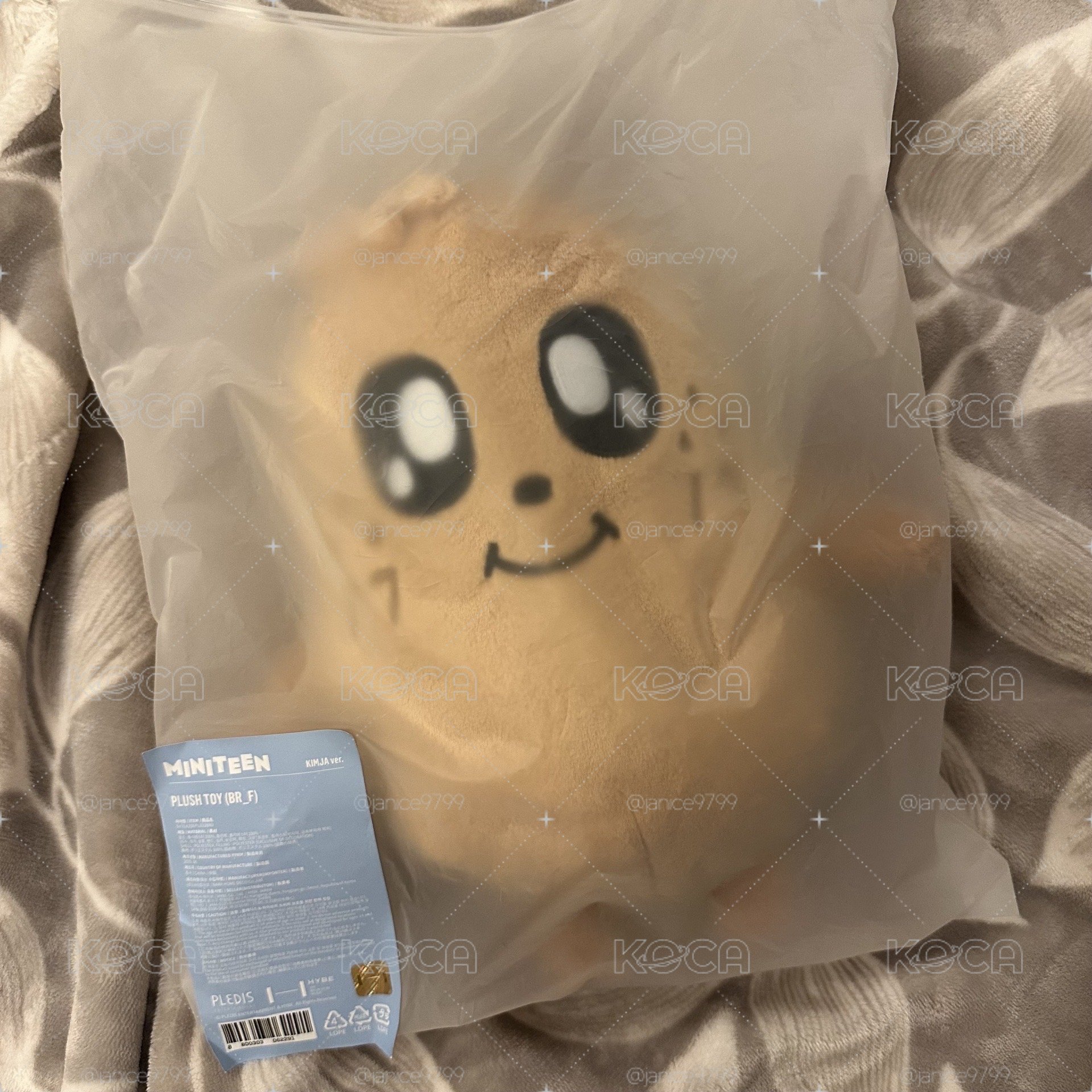 Kimja站娃