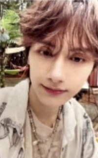 MINI12 專輯卡 wvs電子專