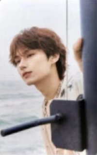 MINI12 專輯卡 wvs電子專