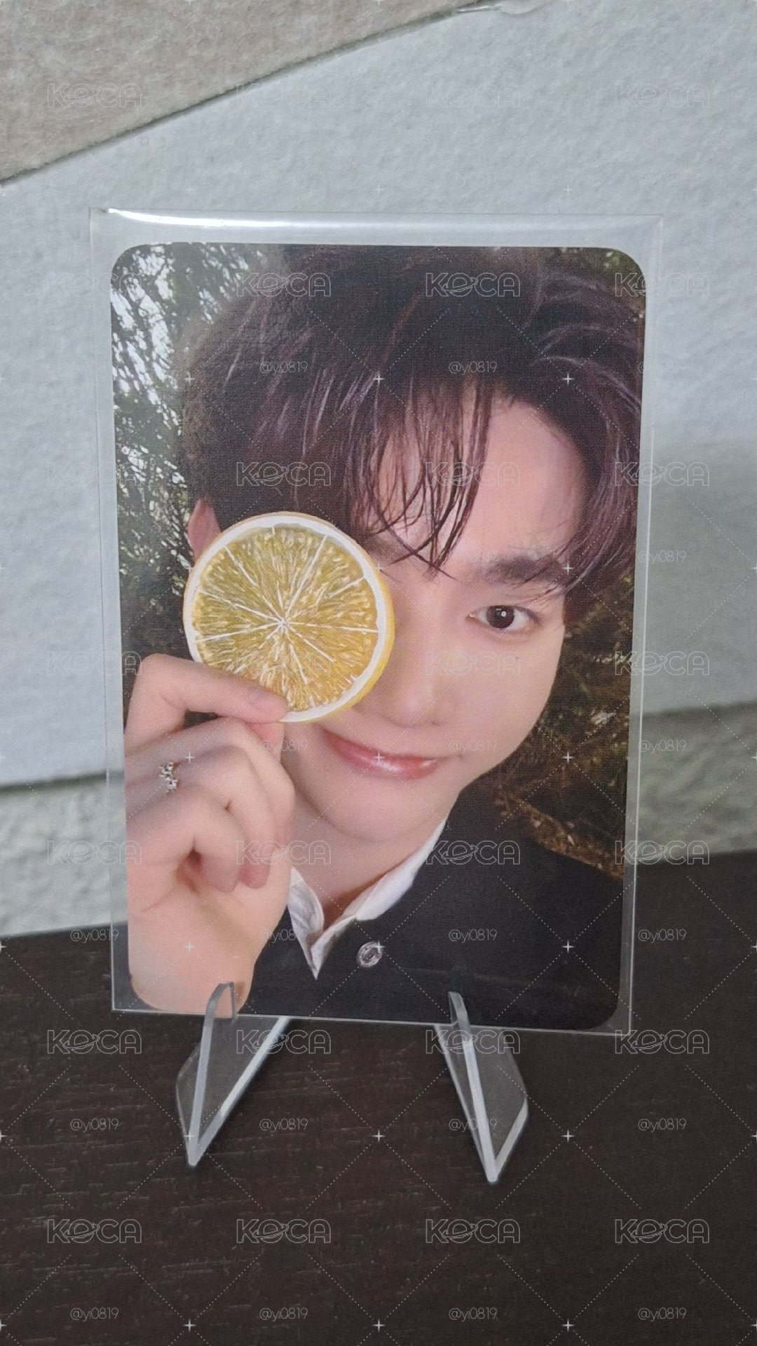 章昊 迷四檸檬