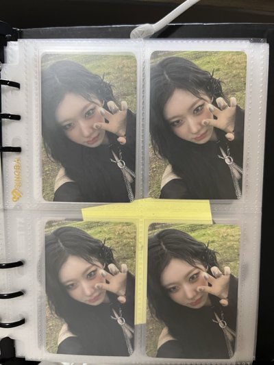 星河預售領（中文卡背）