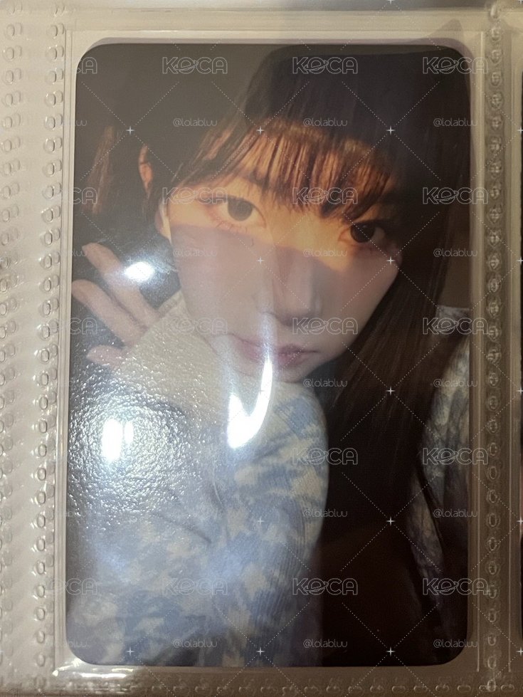 陽光柚