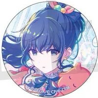 細閃 vol.46 B 徽章 水族花後