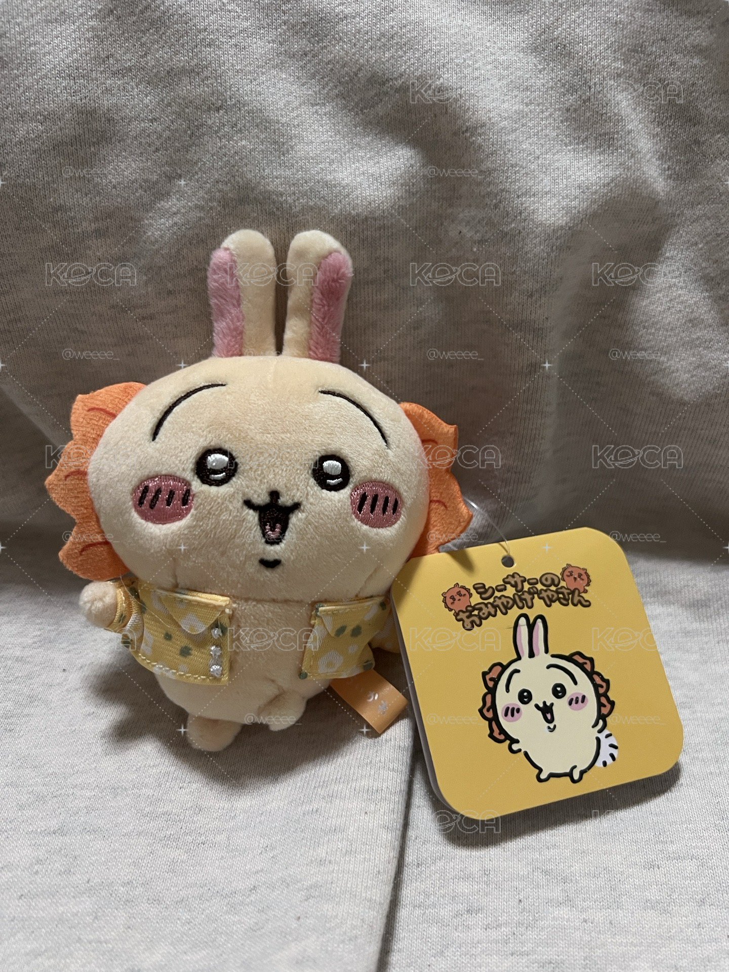獅薩！