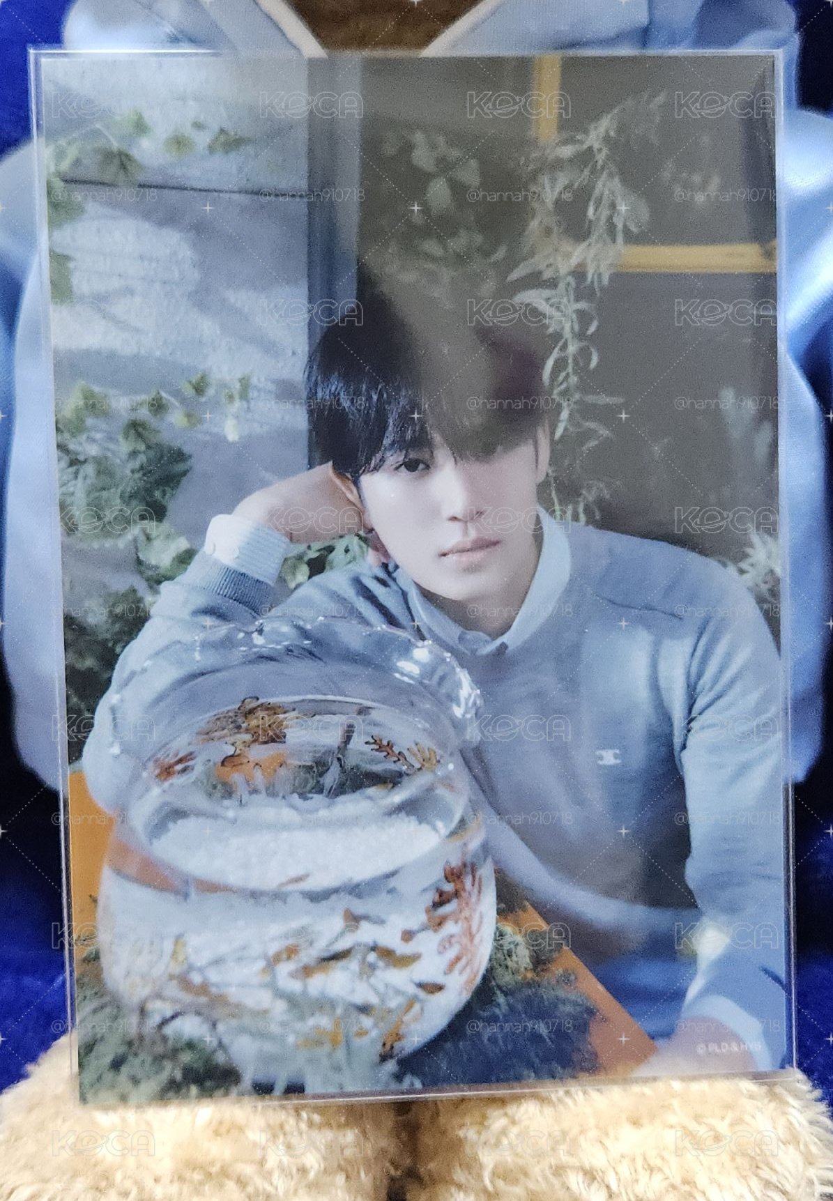 Seventeen 消費期限 生寫真（奎）