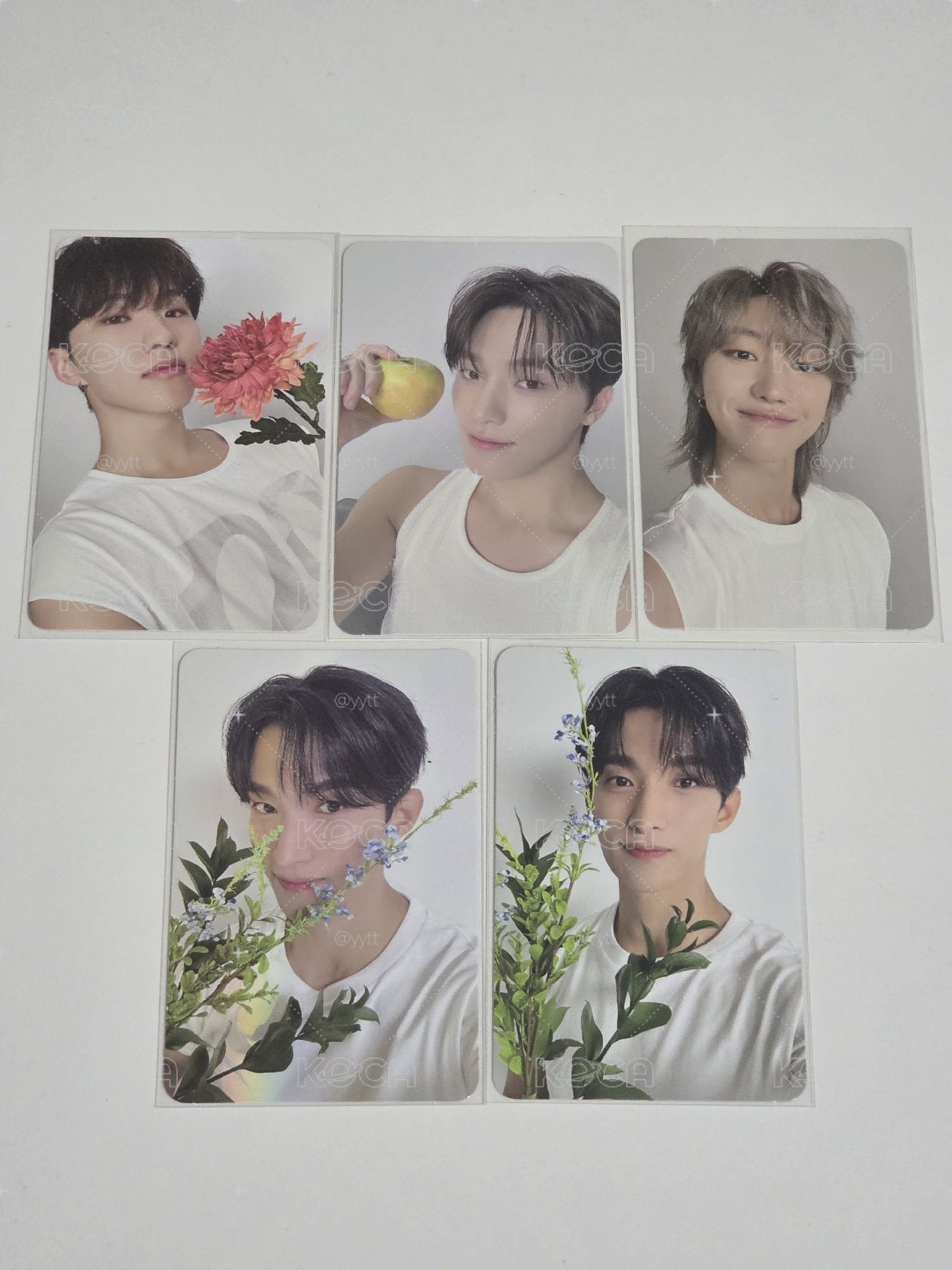 SEVENTEEN 