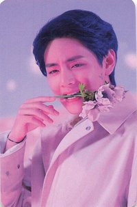 Dicon D’Festa Mini 周邊卡 (10/16)