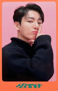 Dicon D’Festa Mini 周邊卡 (13/16)