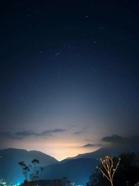 ellie