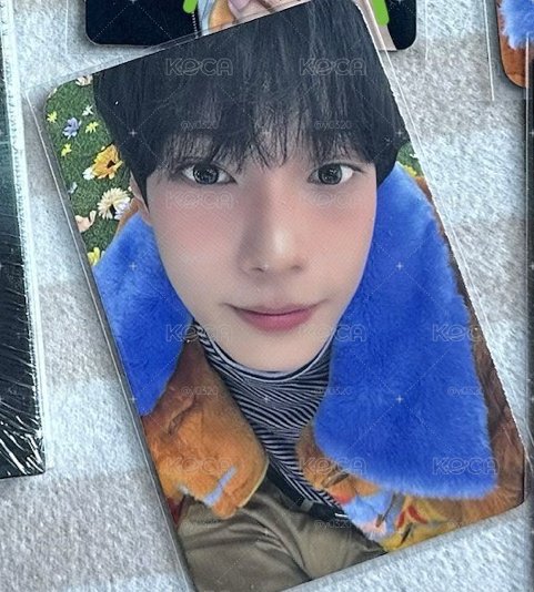 打歌卡