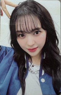 迷四 專輯卡 黃版