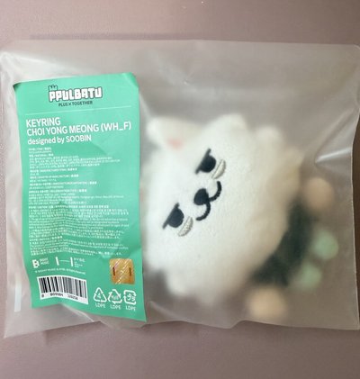 TXT 原皮站姿勇猛