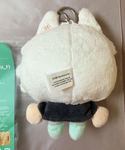 TXT 原皮站姿勇猛