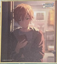 vol.54 色紙 色紙 新年花前