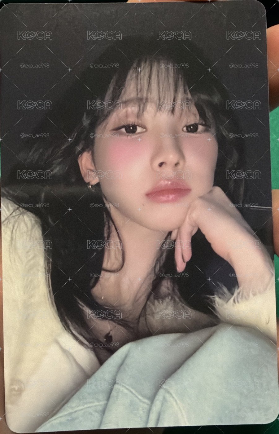 KMS上海簽售柚