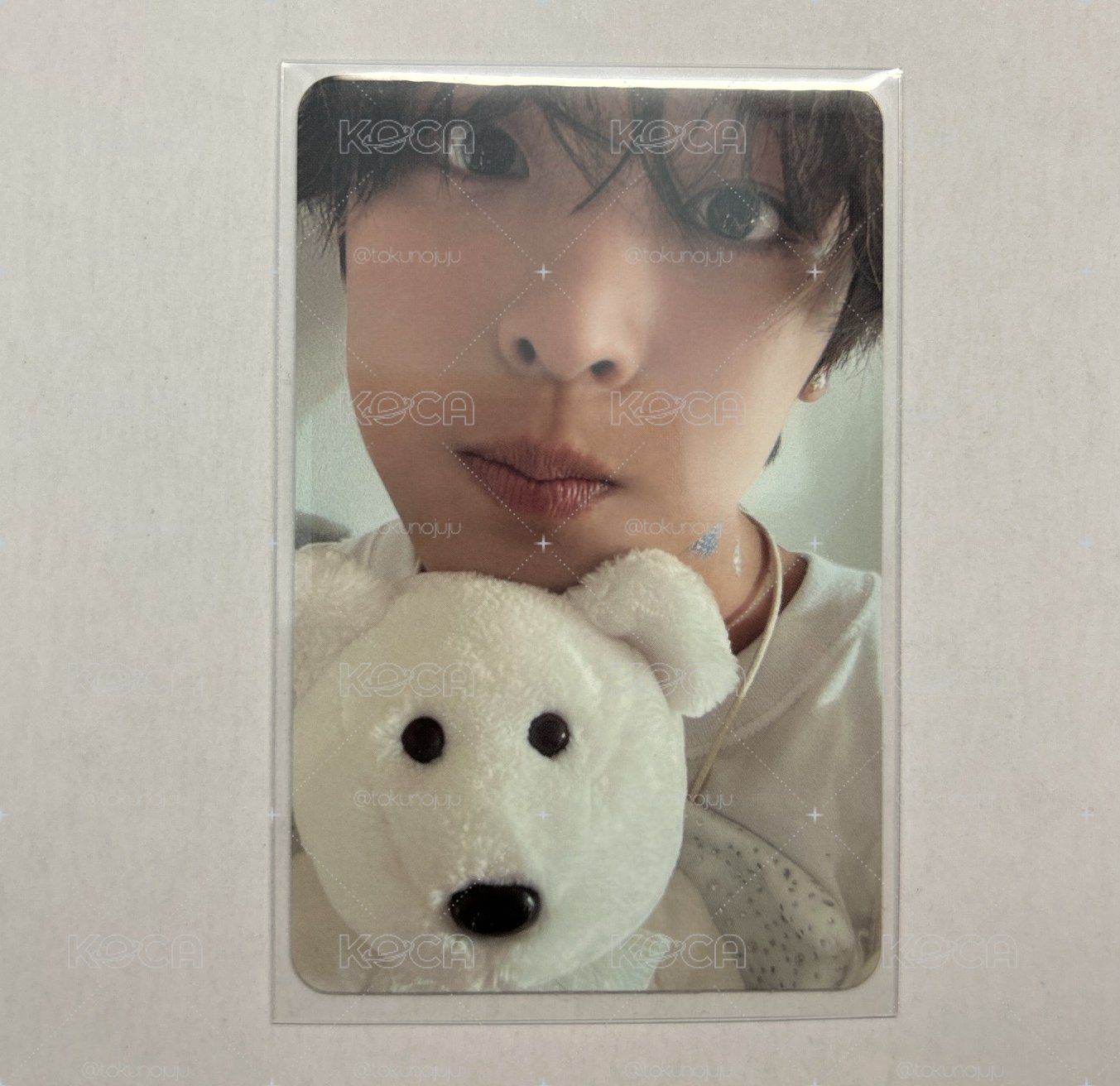 NCTWISH RIKU 前田陸Steady白版小熊卡