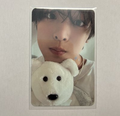 NCTWISH RIKU 前田陸Steady白版小熊卡