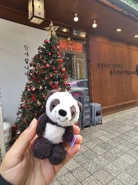 企鵝