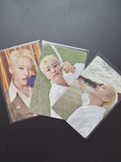 權順榮-BSS電子專