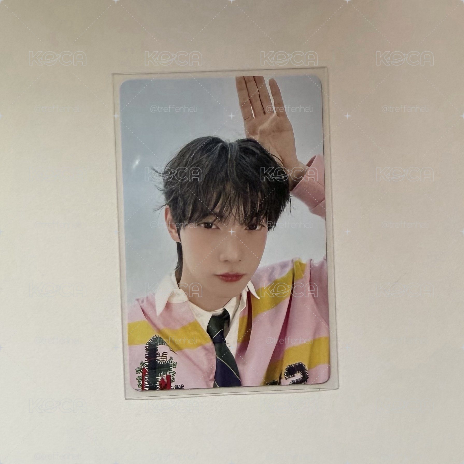 HMV小兔子崔