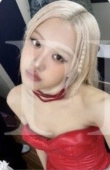 DEADLINE 日本快閃卡包 隨機卡 