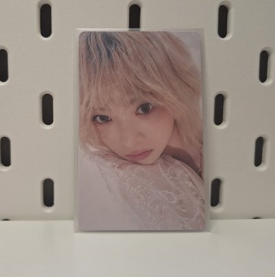 贈送採卡（大損）