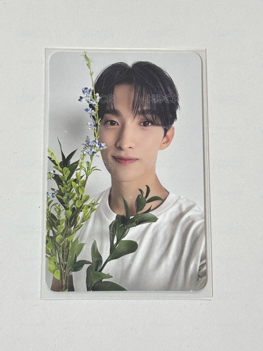 碩 精選專 專輯卡 CARAT ver.