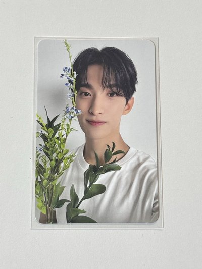 碩 精選專 專輯卡 CARAT ver.