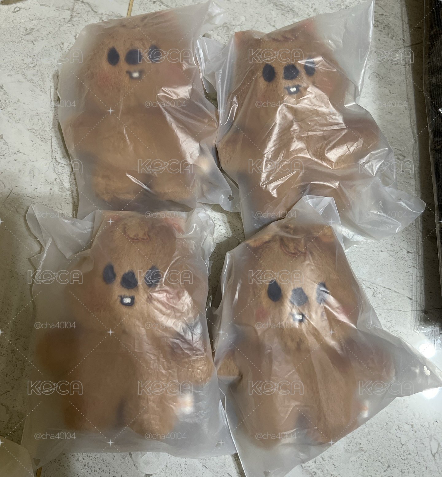 （全新未拆）3rd 世巡安可快閃店 娃娃玩偶 站娃 (HAN)