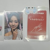 strategy  中文卡背1.0