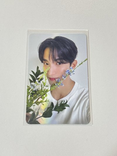 碩 精選專 專輯卡 CARAT ver.