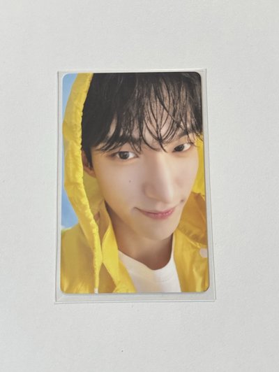 碩 MINI11 專輯卡 ｜CARAT ver.